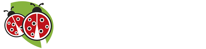 www.pizzerialecoccinelle.it